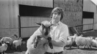 Down On The Farm With John Pullin