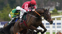 Leopardstown Christmas Festival - Day Two - Leopardstown Racecourse