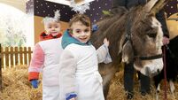 Mick Clifford: Jesus was born at home with not a donkey in sight