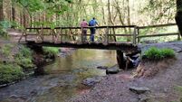 Being sustainable is a walk in the park! 