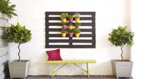 How to paint your garden fence like a pro this summer