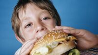 Boy Eating Cheeseburger
