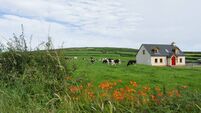 Meadow with cabin and farm animals