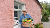 Drop in profits at Darina Allen's Ballymaloe Cookery School