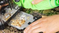 Removing bread crumbs from Kitchen Tray Toaster