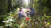 Discover hidden treasures in Ireland's heartland