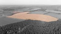 90-acre East Cork tillage holding attracting strong interest
