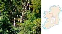 Islands of Ireland: Sights set on fame and fortune — from Lough Arrow to Chile
