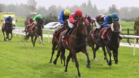 Ruby Walsh: Don’t mind the car park - worry about who is in the parade ring