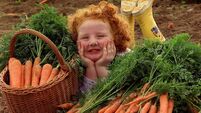 Dr Phil Kieran: What can I do to build my child's immune system?