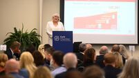 Luas for Cork should be developed now, says Cork City Council chief Ann Doherty