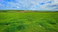 Typical Irish countryside of green grassy fields West Cork Ireland