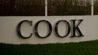 Pre-tax profits at Limerick-based Cook Medical EMEA business decline