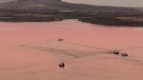 Resumption of sprat trawling in Kenmare Bay 'wiping out marine life'
