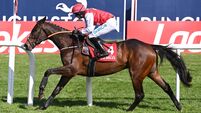 Fairyhouse tips: Sandor Clegane can make his class tell 