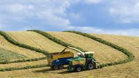 Transferring freshly cut grass to a trailer