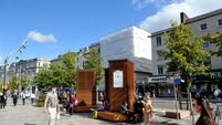 Cork's controversial ‘robotrees’ spared chop after inconclusive report to city council