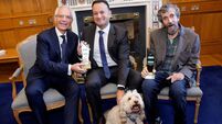 Charlie Bird receives global award for 'Climb with Charlie' campaign 