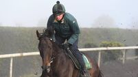 Clonmel tips: Allaho set to make winning return from long absence