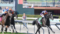 Galopin Des Champs and Auguste Rodin on collision course for Horse of the Year award 