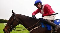 Allaho makes winning return at Clonmel
