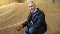 Tom Barry: The right decisions at the right time are crucial for growers nowadays