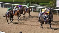 Dundalk tips: Nakassama can turn the tables on Not Forgotten