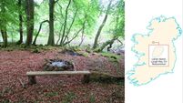 Islands of Ireland: Only lapping water and birdsong break the silence at Roscommon's Lahan Island
