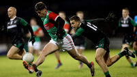 Sam Callinan and Danny Buckley 11/11/2023