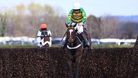 Talking Horses: Unexpected Party primed for big run in Paddy Power Gold Cup