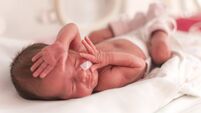 Premature newborn  baby girl