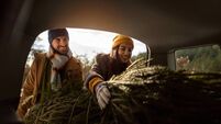 Couple packing Christmas tree into car trunk