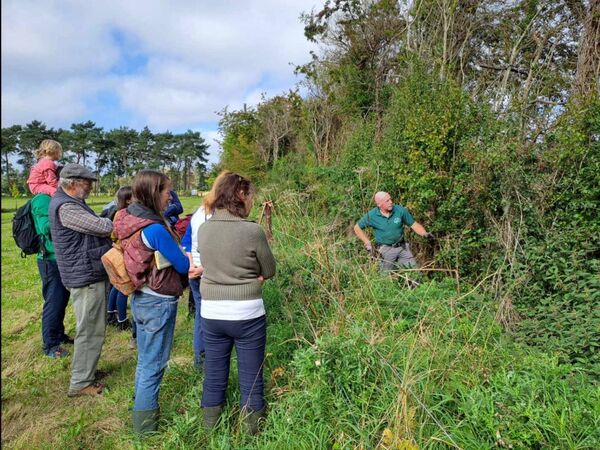 Learning how to create and look after a hedgerow with Eamonn McLoughlin in Celbridge. Pictures: Hedgerows Ireland Learning how to create and look after a hedgerow with Eamonn McLoughlin in Celbridge. Pictures: Hedgerows Ireland