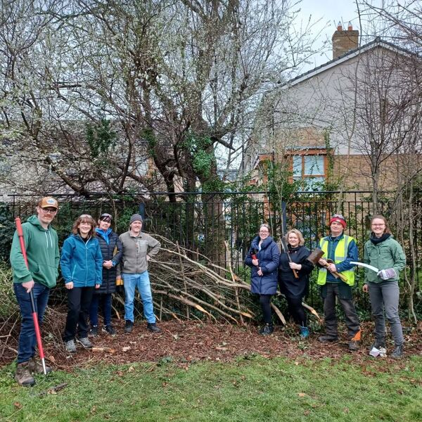 Hedge laying training day in Ranelagh. 2023 Hedge laying training day in Ranelagh. 2023