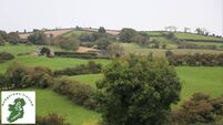 Learn how to lay a new hedgerow and how to look after an existing one 