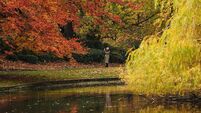 Autumn weather Nov 16th 2023