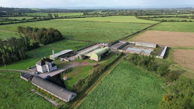 <p>The holding is in the townland of Frankfort, near the village of Ballingarry.</p>