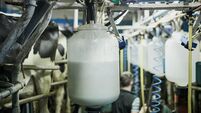 Freshly processed milk