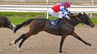 Dundalk tips: Dream Ticket can come up trumps for McCreery