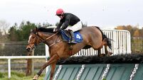Donovan steers Shotgun Jack to Limerick success 