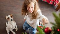 Child with dog decoration christmas tree