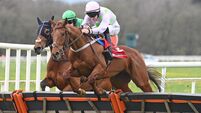 Irish tips: Better Days Ahead can make amends at Fairyhouse