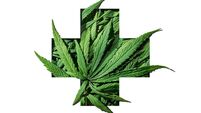 Cannabis green leaves in medical plus sign emblem frame on white background.