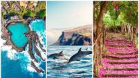10 reasons to visit Madeira, from sensational views to wine festivals and more