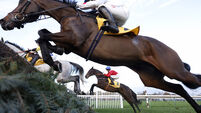 Talking Horses: Protektorat can defend Betfair Chase crown 