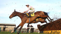 Betfair Chase Day 2023 - Haydock Park Racecourse