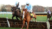 Betfair Chase Day 2023 - Haydock Park Racecourse