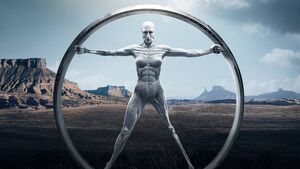 Gareth O'Callaghan: Success with AI may come with a sting in the tail
