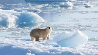 Stakes are high at the UN’s Cop28 with temperatures on course to pass limit