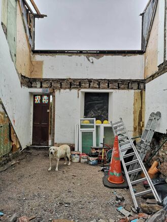 Ozzie the dog takes in the demolished house, open to the skies Ozzie the dog takes in the demolished house, open to the skies